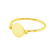 Ayna Shine Disc Ring