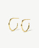 Lia Hoop Stud Earrings